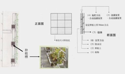 垂直绿化技术标准规范