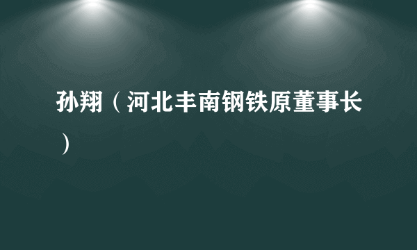 孙翔（河北丰南钢铁原董事长）