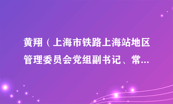 黄翔（上海市铁路上海站地区管理委员会党组副书记、常务副主任）