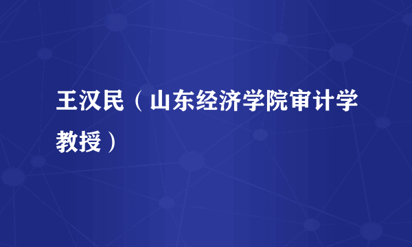 王汉民（山东经济学院审计学教授）