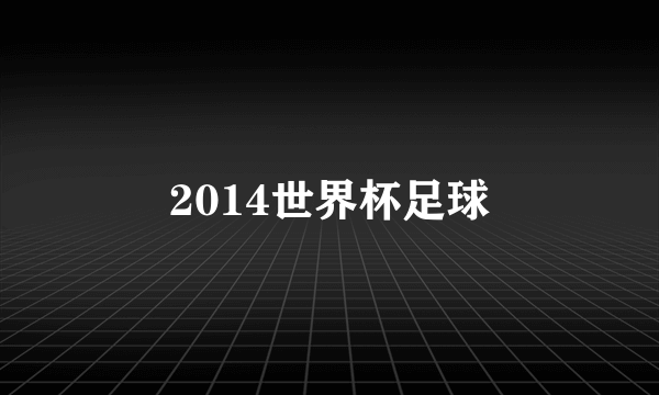 2014世界杯足球