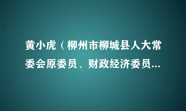 黄小虎（柳州市柳城县人大常委会原委员、财政经济委员会原副主任委员）