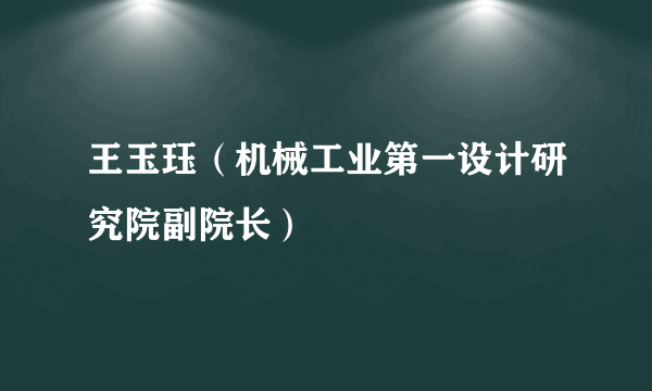 王玉珏（机械工业第一设计研究院副院长）