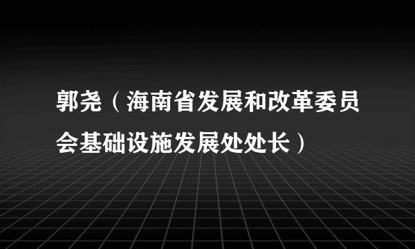 郭尧（海南省发展和改革委员会基础设施发展处处长）