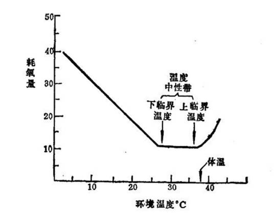 下临界温度