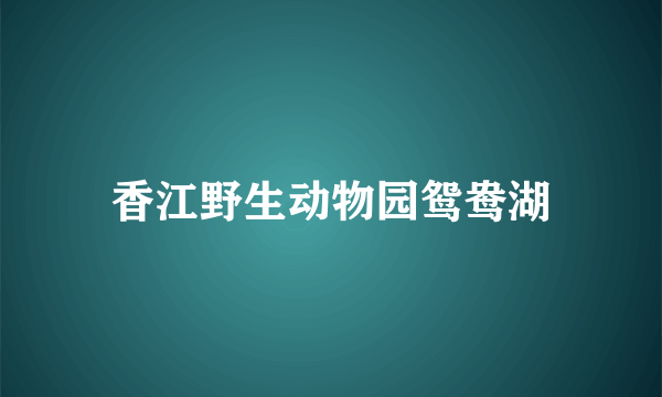 香江野生动物园鸳鸯湖