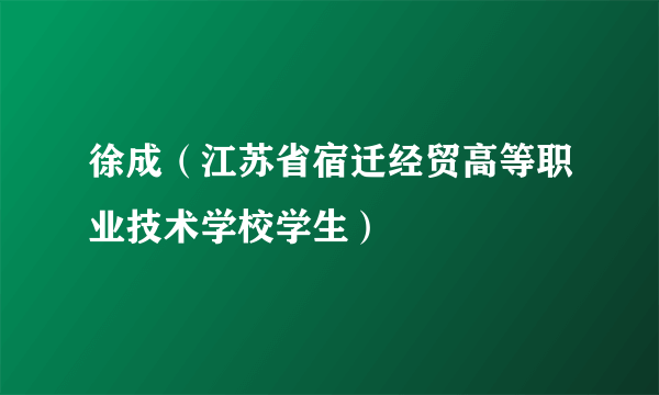 徐成（江苏省宿迁经贸高等职业技术学校学生）