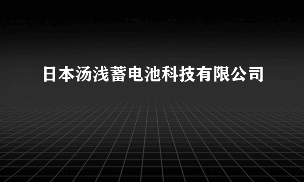 日本汤浅蓄电池科技有限公司