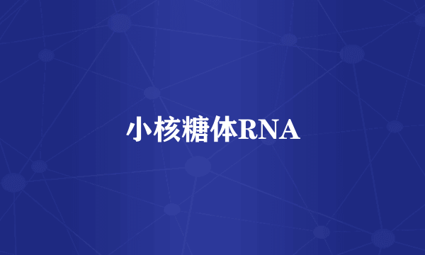 小核糖体RNA