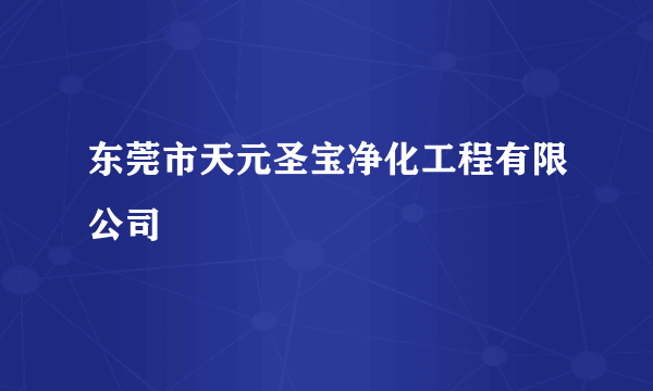 东莞市天元圣宝净化工程有限公司