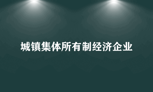 城镇集体所有制经济企业