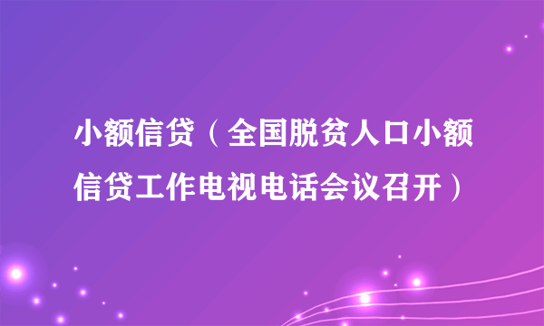 小额信贷（全国脱贫人口小额信贷工作电视电话会议召开）