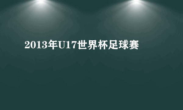 2013年U17世界杯足球赛