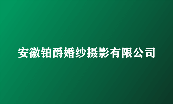 安徽铂爵婚纱摄影有限公司