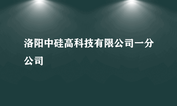 洛阳中硅高科技有限公司一分公司