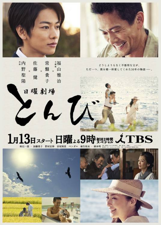 鸢（日本2013年佐藤健、内野圣阳主演电视剧）