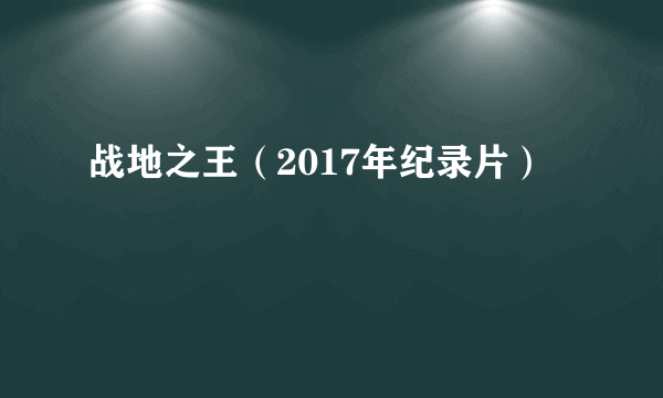 战地之王（2017年纪录片）