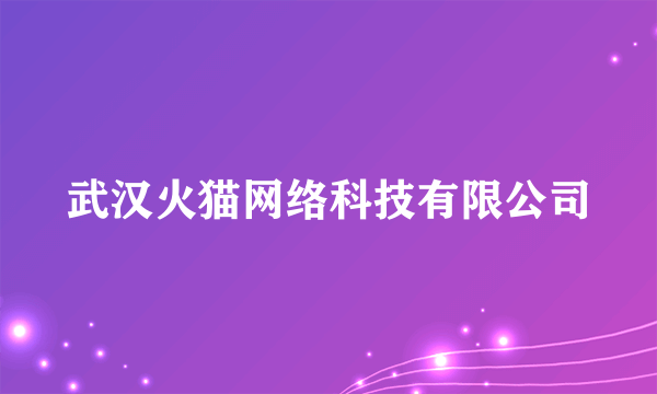 武汉火猫网络科技有限公司