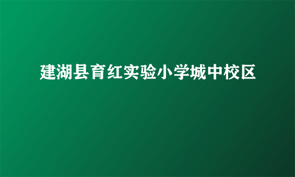 建湖县育红实验小学城中校区