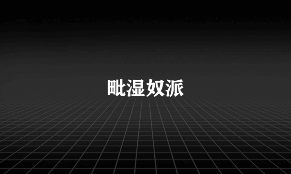 毗湿奴派