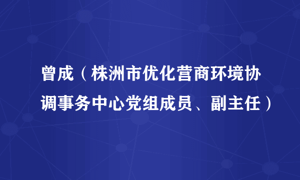 曾成（株洲市优化营商环境协调事务中心党组成员、副主任）