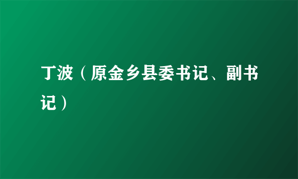 丁波（原金乡县委书记、副书记）