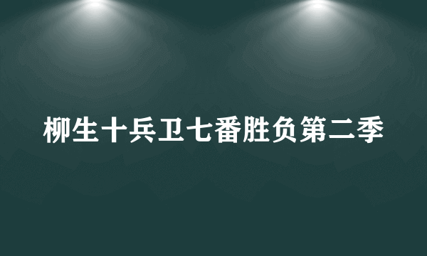 柳生十兵卫七番胜负第二季