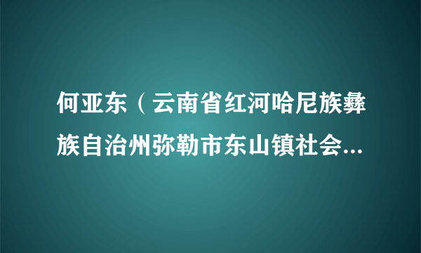 何亚东（云南省红河哈尼族彝族自治州弥勒市东山镇社会救助经办员）