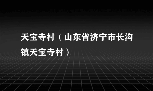 天宝寺村（山东省济宁市长沟镇天宝寺村）