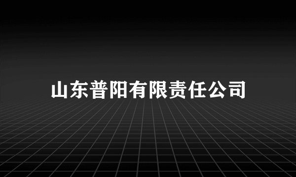 山东普阳有限责任公司