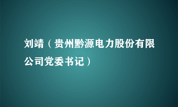 刘靖（贵州黔源电力股份有限公司党委书记）