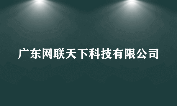 广东网联天下科技有限公司