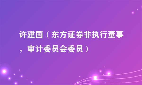 许建国（东方证券非执行董事，审计委员会委员）