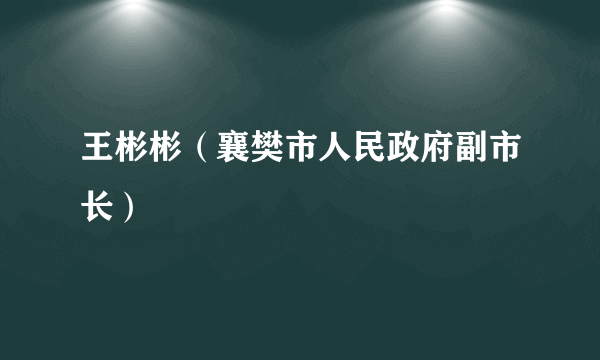 王彬彬（襄樊市人民政府副市长）