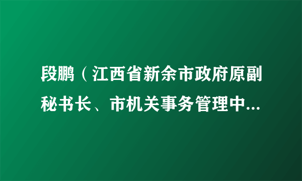 段鹏（江西省新余市政府原副秘书长、市机关事务管理中心原主任）