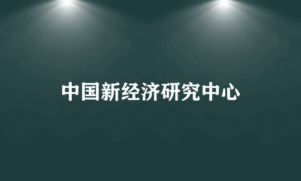 中国新经济研究中心