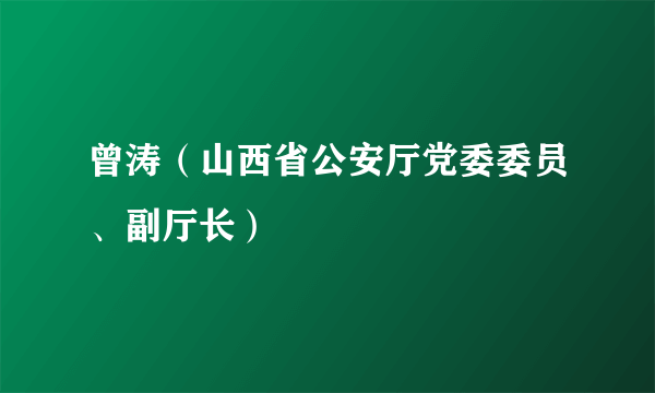 曾涛（山西省公安厅党委委员、副厅长）