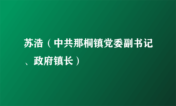 苏浩（中共那桐镇党委副书记、政府镇长）