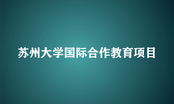 苏州大学国际合作教育项目