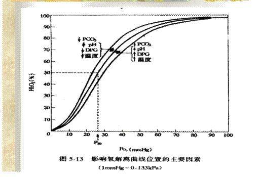 P50（饱和度为50%的血红蛋白）