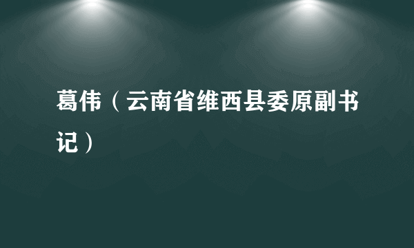 葛伟（云南省维西县委原副书记）