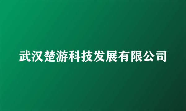 武汉楚游科技发展有限公司