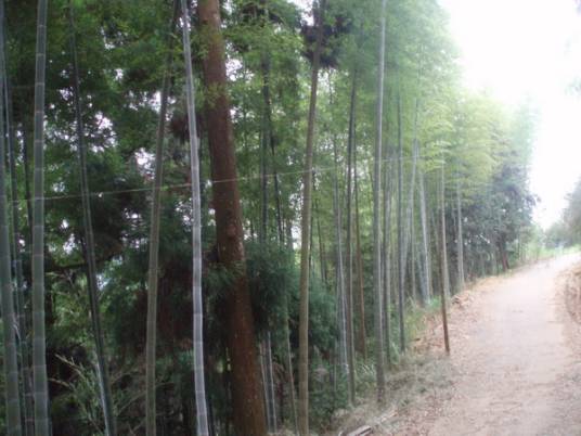 水门村（福建省泉州市德化县葛坑镇下辖村）