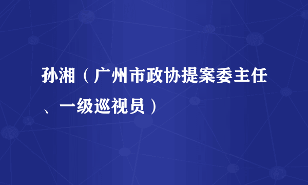 孙湘（广州市政协提案委主任、一级巡视员）