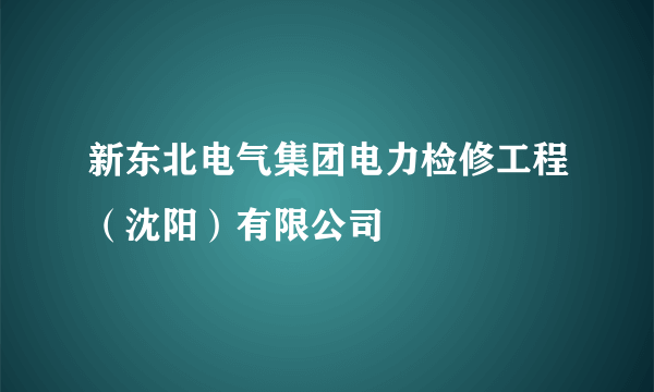 新东北电气集团电力检修工程（沈阳）有限公司