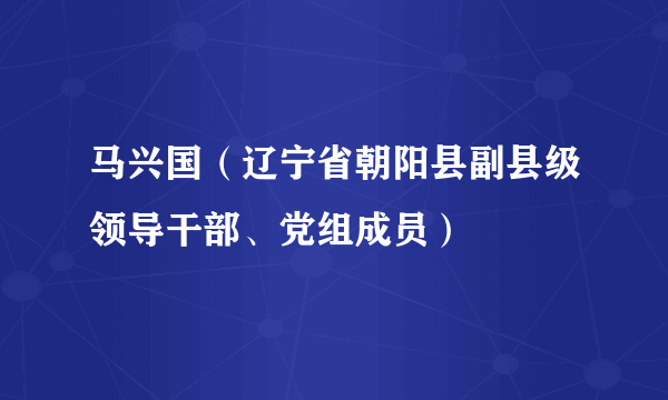 马兴国（辽宁省朝阳县副县级领导干部、党组成员）