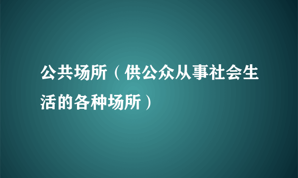 公共场所（供公众从事社会生活的各种场所）