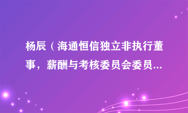 杨辰（海通恒信独立非执行董事，薪酬与考核委员会委员，审计委员会委员，风险管理委员会主任）