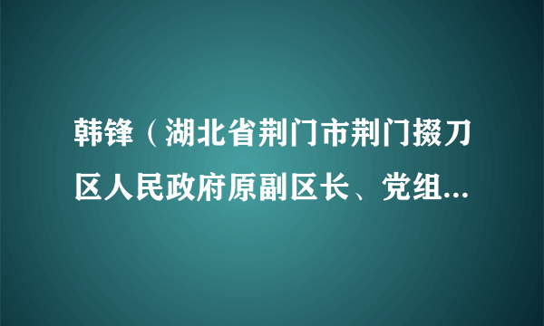 韩锋（湖北省荆门市荆门掇刀区人民政府原副区长、党组成员（挂职））