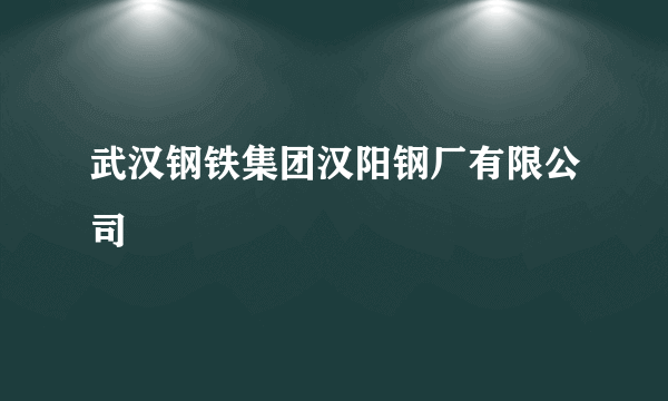 武汉钢铁集团汉阳钢厂有限公司